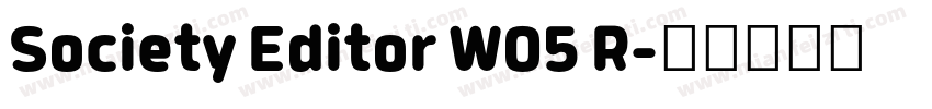 Society Editor W05 R字体转换
